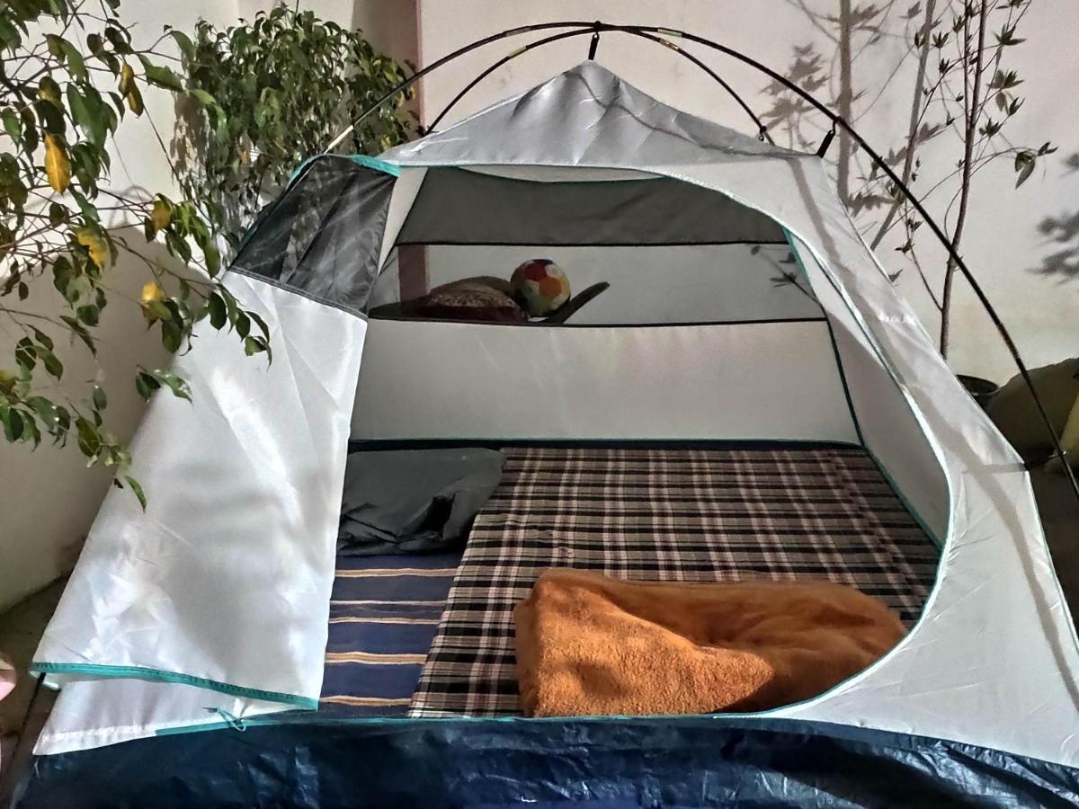 Ira Homestay Mathura - Divine Spiritual Stay Εξωτερικό φωτογραφία
